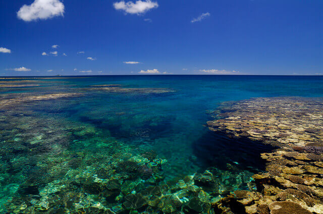 「幻の島」八重干瀬のサンゴ礁